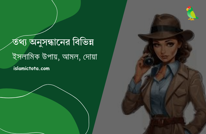 তথ্য অনুসন্ধানের বিভিন্ন উপায়