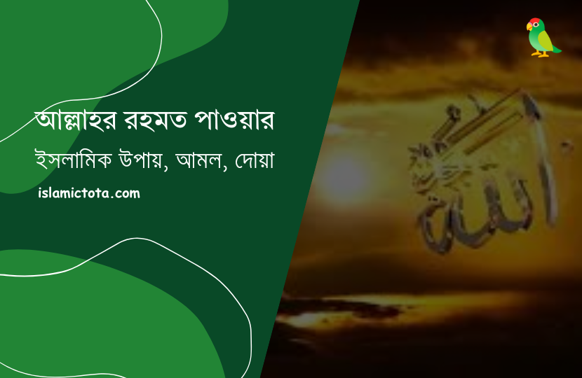 আল্লাহর রহমত পাওয়ার উপায়